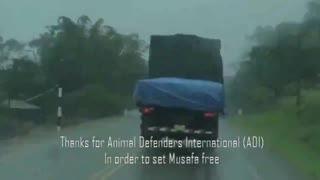 各类吃瓜视频合集,盘点那些让人笑到肚子疼的吃瓜视频合集  第2张