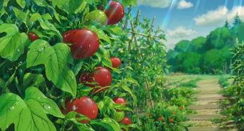 重庆李柒柒吃瓜,揭秘网络红人的日常生活  第1张