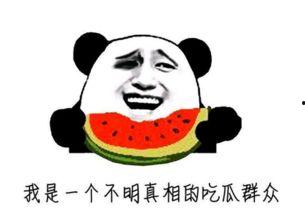 最牛的吃瓜群众,最牛吃瓜群众带你领略幕后风云  第3张