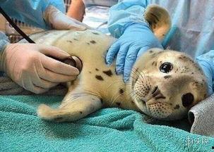 吃瓜的杰瑞  第3张