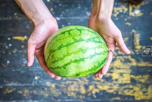 合格吃瓜人,揭秘网络舆论场中的理性与趣味  第2张