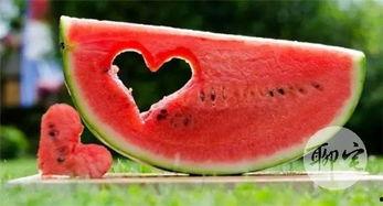 合格吃瓜人,揭秘网络舆论场中的理性与趣味  第3张