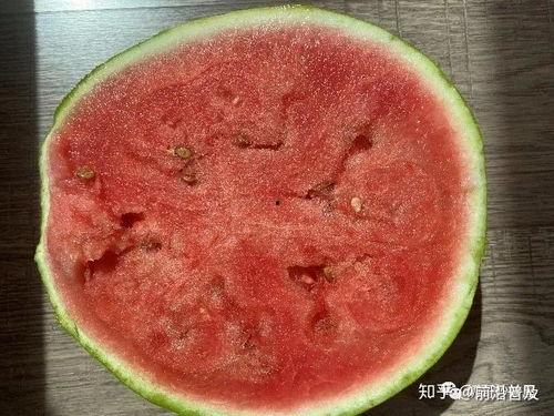 热点吃瓜科普 第1张 热点吃瓜科普 第1张