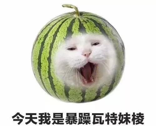 暴躁喵吃瓜,揭秘娱乐圈那些不为人知的幕后故事  第2张