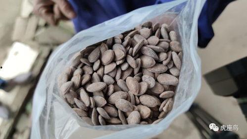 怎么利用吃瓜挣钱,揭秘如何从网络热点中掘金  第2张