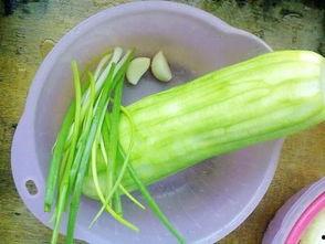 水瓜小孩可以吃不,营养健康两不误 第3张 水瓜小孩可以吃不,营养健康两不误 第3张