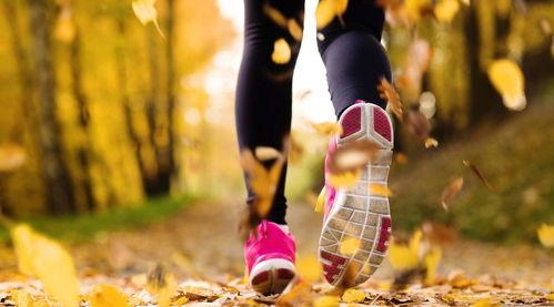 跑步训练吃瓜视频,揭秘健身达人的快乐源泉  第1张