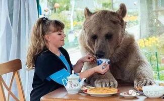 贱熊吃瓜,揭秘娱乐圈的幕后故事 第3张 贱熊吃瓜,揭秘娱乐圈的幕后故事 第3张