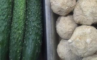 周口市吃瓜  第2张