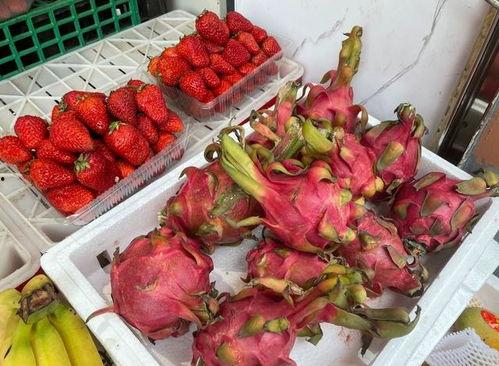 羊角瓜几月份吃,羊角瓜最佳食用月份大盘点  第2张