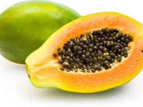 吃瓜数籽,揭秘瓜果中的奇妙世界  第1张