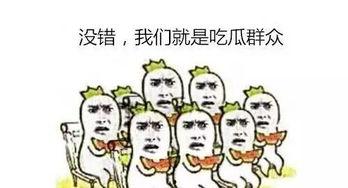 吃瓜不说瓜什么意思  第2张