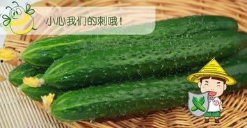 吃瓜配的图片,一场视觉盛宴的味蕾之旅  第3张