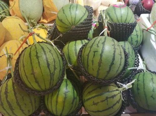 光遇正巫吃瓜,揭秘神秘巫师背后的趣味生活  第2张