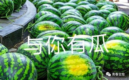 广州学院吃瓜,校园吃瓜文化盛行，揭秘校园热点事件背后的故事  第3张