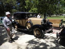 墨尔本车吃瓜,一场意外引发的全民热议 第2张 墨尔本车吃瓜,一场意外引发的全民热议 第2张