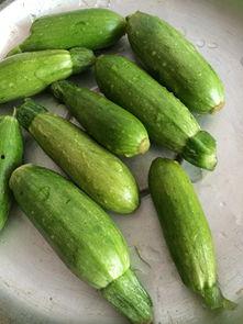 迷你小洞吃瓜 第1张 迷你小洞吃瓜 第1张