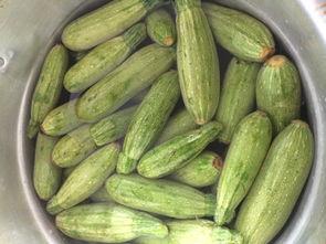 迷你小洞吃瓜 第3张 迷你小洞吃瓜 第3张